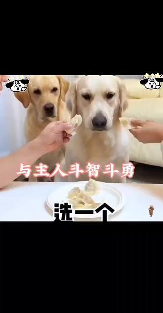 狗子:一天没有800个心眼子都玩不过你!