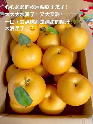 视频同款