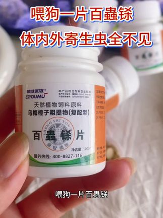 #科学喂养宠物