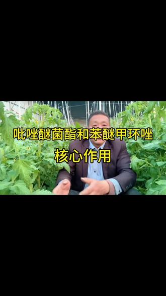 吡唑醚菌酯比苯醚甲环唑核心作用#杀菌剂 #三农 #抖音助农#知识分享 #农业种植