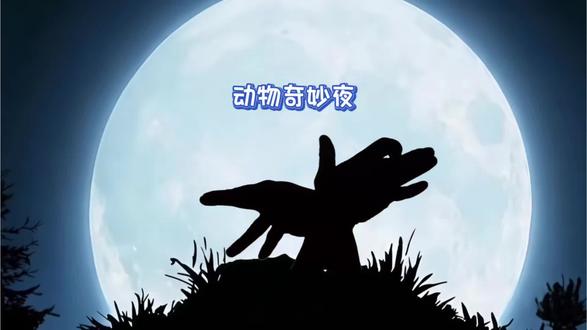 手影动物的奇妙夜。#手影#非遗#手影动画