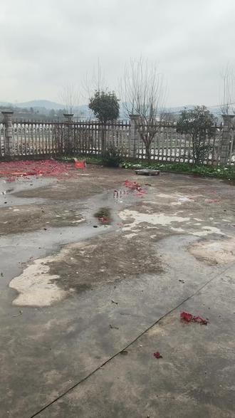 从小妈妈告诉我们,过年餐桌上必须要有的青菜豆腐,寓意清清白白#除夕