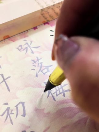 生活总有不期而遇的温柔,和生生不息的希望。#练字帖 #传统文化 #坚持写字 #写字是一种生活 #书法练习