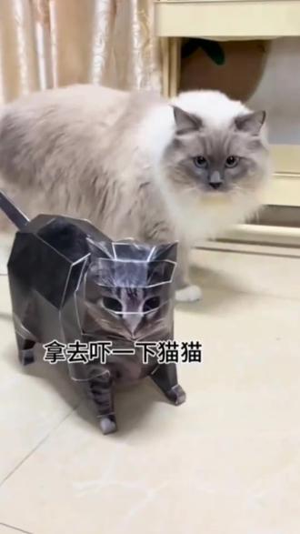 【视频款】oiiao猫huh猫纸模型猫疑惑猫立体折纸旋转猫送朋友礼物#好物推荐🔥 #旋转猫 #玩个很新的东西 #猫模型 #猫立体折纸