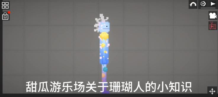 甜瓜游乐场关于珊瑚人的小知识#甜瓜游乐场