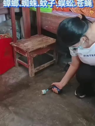 各大害虫来一个烟雾弹搞定。