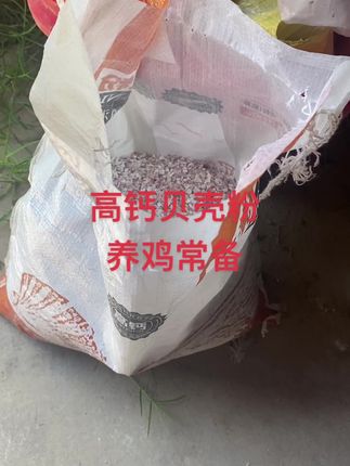 增加骨质,羽毛更亮#斗鸡文化 #斗鸡爱好者