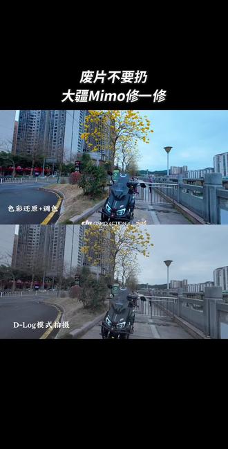 大疆Mimo app更新了,官方Lut大放送,特别是Live实况图片高清无损拼接,旅行、美食、聚会通通都可以三联屏了!#大疆mimo更新 #大疆 #大疆action4 #运动相机配件