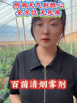 大棚阴天下雨病害别担心,烟熏剂无死角#农业种植 #大棚种植#百菌清烟熏剂