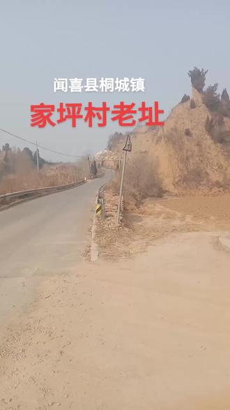 我刚从学校出来的时候,始终没能学会抽烟,高低不会从鼻孔出烟,又不喜欢装腔作势般糟蹋烟,最后只能是不吸烟,但是那时候我却有收集各种烟盒的爱好。六、七十年代大都是没有过滤嘴的短把烟,比较有名气的如象征新中国成立初期文化的大前门,带有婚庆色彩的红双喜,代表农村丰收喜悦的丰收牌香烟,因马季小品走红的宇宙牌香烟,到如今依然名气卓著的华子(中华牌)……与地域有关的则更多,如云南的云烟、红塔山、玉溪、红梅,浙江的利群,湖南的芙蓉王、白沙,湖北的黄鹤楼,河南的红旗渠,河北的钻石,江苏的南京,福建的七匹狼,甘肃的兰州,贵州的黄果树,台湾的阿里山,北京的中南海,山东的泰山,咱们山西的紫气东来……说起这些来真不舍得停下来!咱们农民接触比较多的有雄鹰牌、淮北牌、农工牌、工农牌黑棒,凤凰、西凤、小公主、蝴蝶泉、红河……哪怕是软包香烟盒的皮皮,全部积攒到现在是不是宝贝?绝对是,只可惜刚结婚那几年疲于讨生活,我攒的这些宝贝连同给老婆写诗的笔记本放在写字台抽屉里被老鼠咬的稀碎,它们"坐月子"给糟蹋了,一提起这事儿把我心疼的恨的牙痒痒!
许多东西只要好好保存下来,经过时间的推移和沉淀必定会成为宝贝!这村落也一样!就像保存烟盒一样,谈何容易!(此处省略十一个字,有兴趣的话在评论区括号里找)好了,明天给大家呈现家坪移民新村。