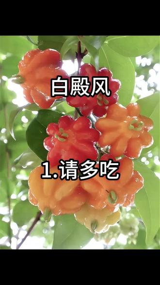 传递好运,幸福,希望大家都好。#白斑结束了#科普分享