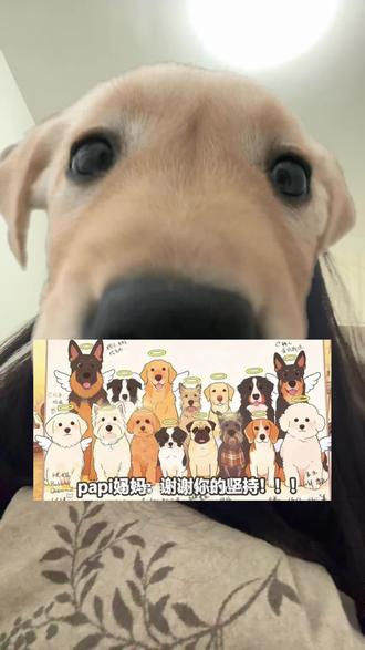 #宠物投毒 #文明养狗 #日常唠嗑 大家出门遛狗一定要牵好绳子,控制好自己狗的行为,不要乱拉乱尿给别人制造麻烦,但也有一些人就是chunhuai,我们只能管好我们自己