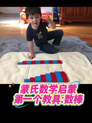 蒙氏数学启蒙的第一个教具#早教 #育儿 #蒙特梭利 #数学启蒙 #蒙氏教具