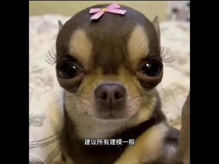 都快去试试...#豆包分析长相 #穿搭#妆娘#二次元#女大学生