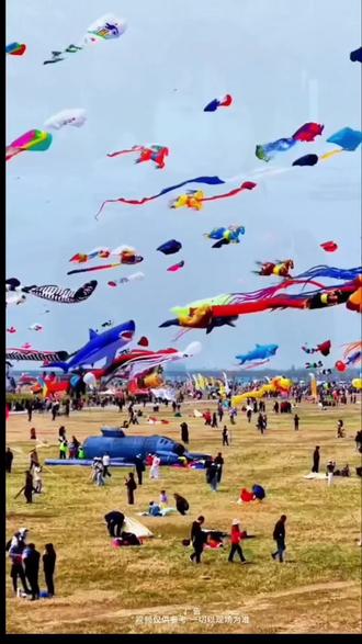 43届潍坊风筝会4月18·19日在世界风筝公园隆重开幕,现团购票已上线,赶紧先囤票#第43届国际风筝会#2026潍坊风筝节#世界风筝公园#潍坊风筝节又上雷霆新货了#潍坊必去