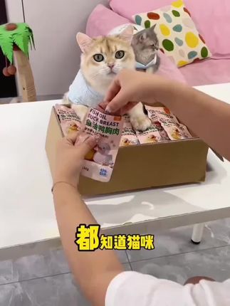 #鸭胸肉 #鱼油鸭胸肉 #猫零食