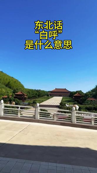 第62集|东北土话里“白呼”是什么意思#真实生活分享计划 #东北话 #方言 #旅游 #创作者扶持计划