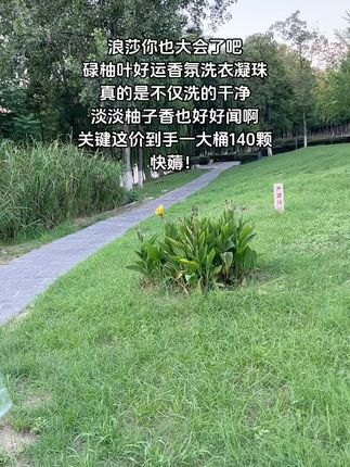 浪莎碌柚叶洗衣凝珠也太好用了吧!还是5D分仓的设计,不仅洗的干净还又香又软,淡淡的柚子味好喜欢呀!关键价格很合适姐妹们快冲!#浪莎洗衣凝珠 #洗护好物 #超便宜超划算 #洗衣凝珠