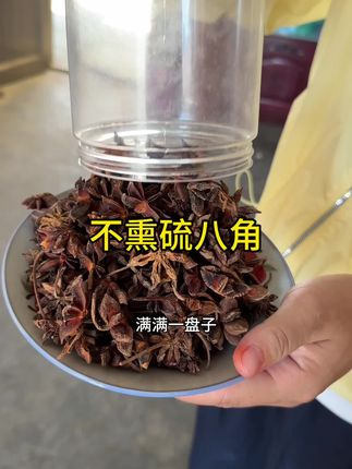 当季新鲜的八角品质确实好 #土特产干货