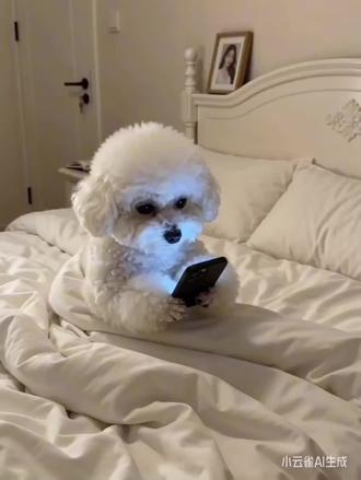 小云雀seedance2.0沉浸式短片爱看什么自己做之萌宠装睡,狗狗装睡ai特效制作教程来了 ai小狗装睡记教程 小狗装睡记 ai小狗装睡视频生成口令 ai小狗装睡记指令#小云雀AI #小云雀爆款马上成片 #小云雀seedance #ai小狗装睡 #AI萌宝装睡记