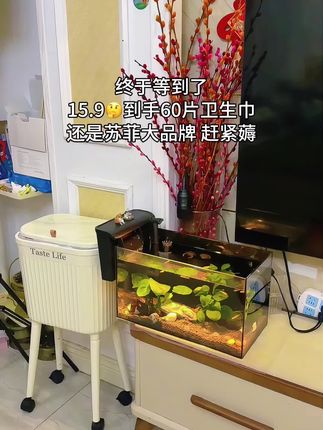 快快快姐妹们,苏菲限购秒杀!这价到手60片!40片正装送20片苏菲裸感S护垫,真的是便宜到姥姥家了!女生必备消耗品,趁合适赶紧囤#苏菲#卫生巾#姨妈巾#女生必备#超便宜超划算