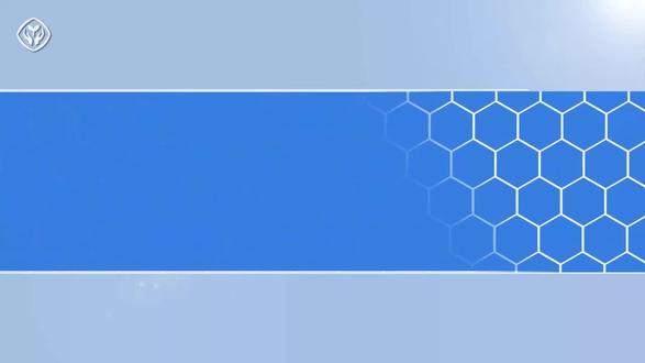 人教版 立卧撑 动作示范与讲解!#体能