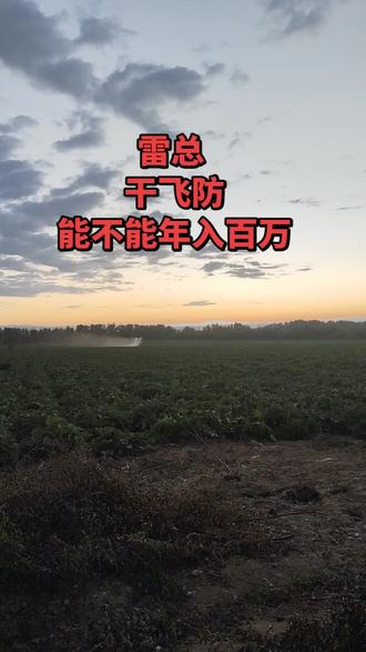谁说的干飞防能年入百万