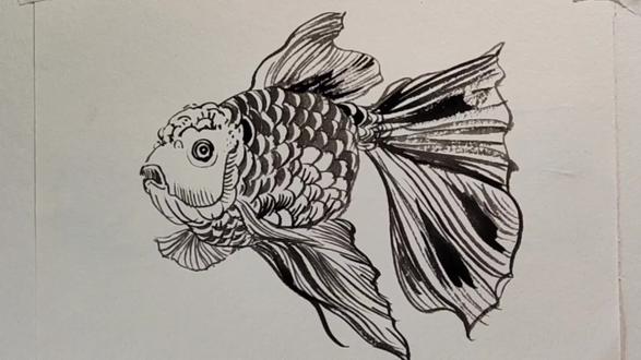 大头金鱼线描画法,挺容易的绘画步骤