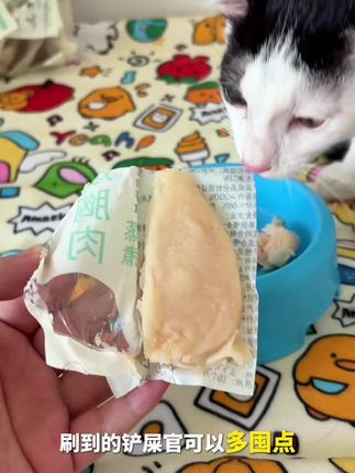 九块九10包!猫狗狂炫的蒸煮鸡胸肉,补营养还美毛,刷到囤就对了!!#萌宠好物 #宠物吃货