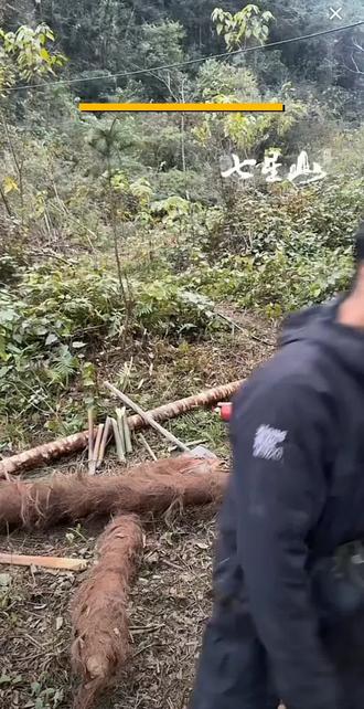 张老六又吃饱复活了#荒野张老六 #七星山