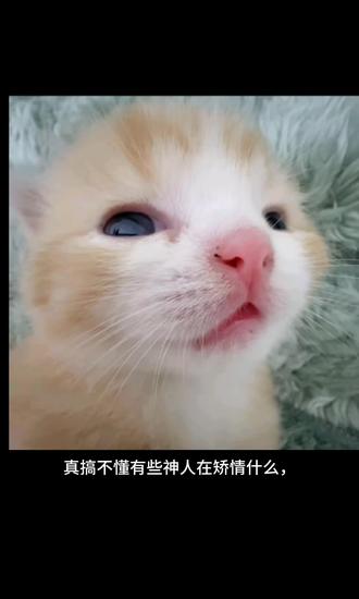 我真求你了不要再折磨我甜瓜女神了好不好
#甜瓜#怪胎马戏团#吐槽