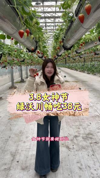 绿沃川3.8女神节福利来了,女性朋友当天过来只要38块钱就能畅吃,实现草莓自由啦!#草莓🍓 #采摘草莓 #绿沃川空中草莓园 #女神节