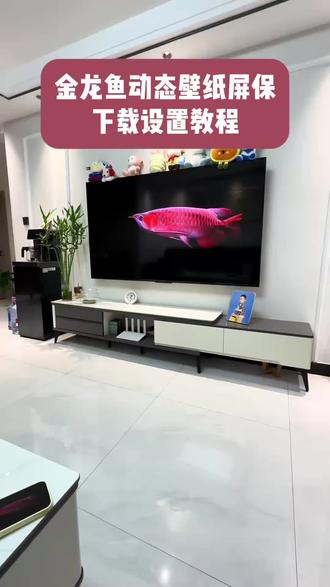《小八来了》金龙鱼动态壁纸屏保设置教程,金龙鱼动态壁纸屏保下载教程,金龙鱼动态壁纸屏保在哪下载,金龙鱼动态壁纸屏保安装教程#金龙鱼动态壁纸屏保#金龙鱼屏保怎么设置#金龙鱼动态壁纸屏保下载教程