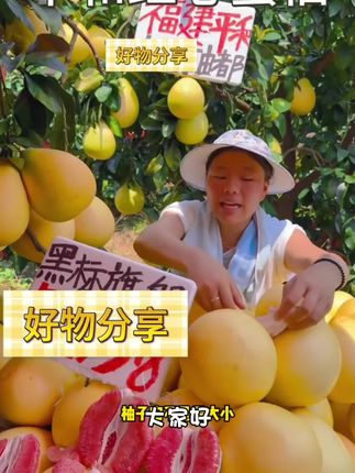 锤子(助农)正宗头茬福建现摘红心蜜柚新鲜水果皮薄鲜嫩汁水多#好货#爆款#真好