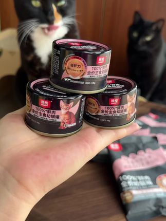 国产里的高端货,顽皮他家平时羊毛真不多~这个幼猫套组还限购,刷到还可以买快块换号多囤几单~ #顽皮 #顽皮幼猫粮 #顽皮鲜选真鲜肉粮 #新手养猫