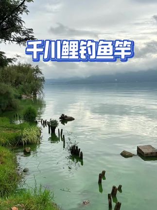 轻量综合大物竿千川鲤 #钓鱼竿 #户外钓鱼 #高碳鱼竿 #鱼竿渔具 #钓竿