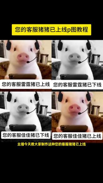 您的客服猪猪已上线p图教程来啦,超简单!#醒图 #醒图创作者 #你的客服xx猪已上线 #客服猪表情包制作 #客服猪表情包 客服猪表情包原图 客服猪表情包制作教程 你的客服猪已上线 你的客服猪已下线 你的客服猪已上线表情包 你的客服猪已下线表情包