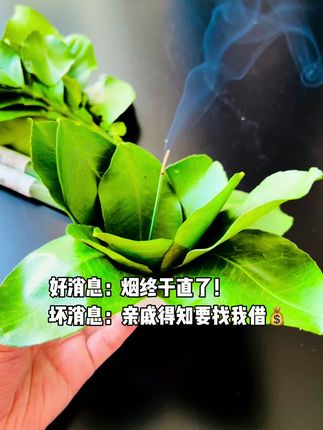 好消息点碌柚叶香了,坏消息亲戚知道了想找我借💰 #内容太过真实 #碌柚叶 #线香 #香文化 #万万没想到