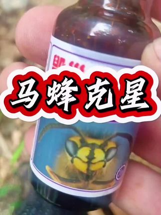 马蜂 #蜜蜂 #蜜蜂养殖 #三农养殖