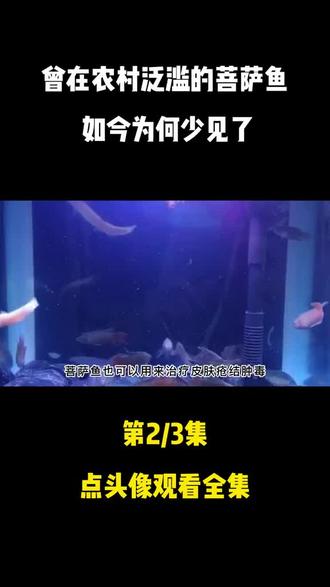 点进头像主页看全集!