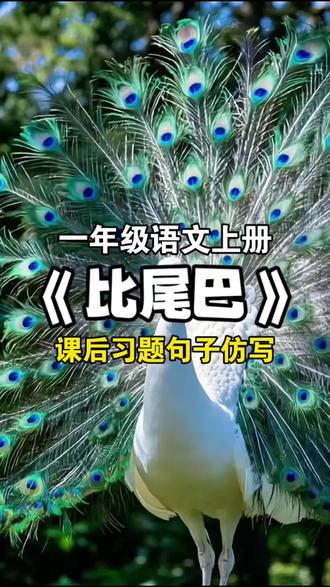 #一年级 语文上册《比尾巴》课后习题句子仿写