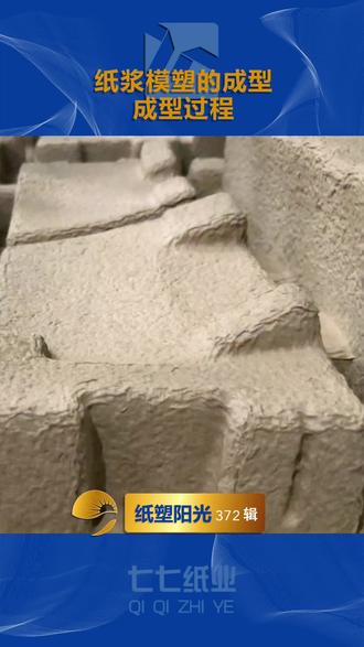 #纸浆模塑 纸浆模塑的成型成型过程