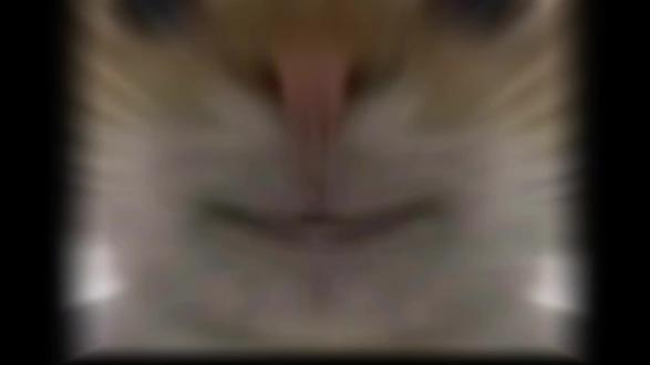 新赛季3x3#三角洲 #三角洲行动