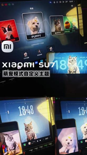 新一代小米su7除了萌宠可以磁吸点位 还可以把自己的爱宠自定义主题哦#新一代小米su7 #小米汽车 #萌宠模式