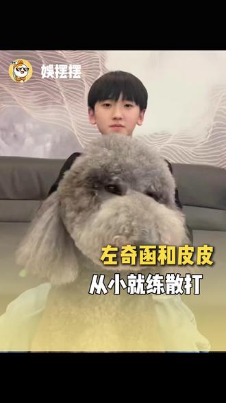四狗一皮皮与它的冤种主人左奇函#左奇函#tf家族四代#萌宠