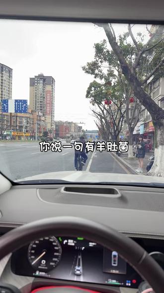 #一张图证明我来过这里 谁见过羊肚菌啊