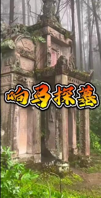 每晚九点锁定 @响马2 直播间,带你了解民间考古队的尔虞我诈。“所有视频中的故事均来源番茄小说一《盗墓往事二十年》”#生存进化采矿技巧 #小小世界原野求生好玩吗 #被遗忘的游戏 #预言矿井攻略 #猎宝角逐沼泽地形
