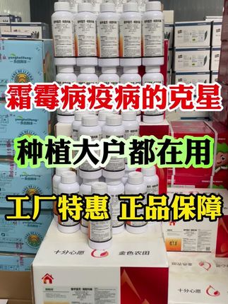 #精甲霜灵烯酰吗啉 #病虫害防治 #杀菌剂 #霜霉病 #疫病