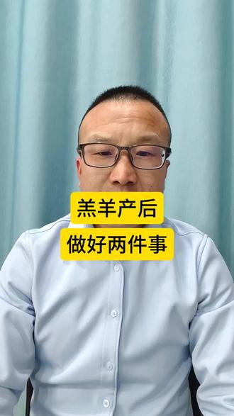 羔羊产后最好两件事就行#羊驱虫#牛驱虫