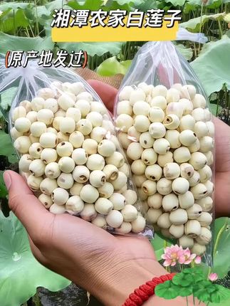 荷:/ 忆湖南去芯白莲子干货500g新鲜煲汤煮粥饱满颗粒原色莲子干货#去芯白莲子 #好吃不贵经济实惠 #舌尖上的味蕾